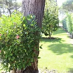 The Pinewood *