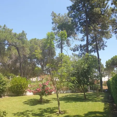 The Pinewood Villa *