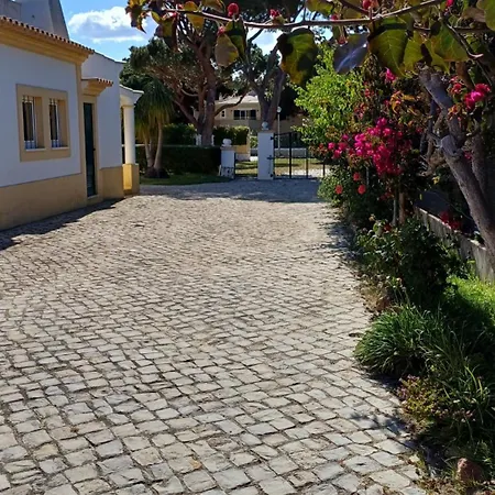 Villa The Pinewood