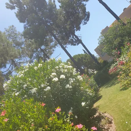 The Pinewood * Vilamoura