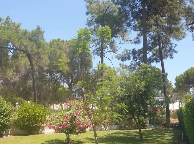 The Pinewood וילה *