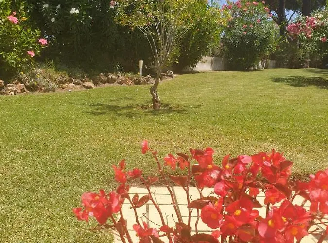 וילה The Pinewood וילהמורה